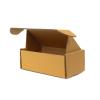 22,5x12x8 cm Scatola Di Cartone Doppiamente Ondulata Con Serratura