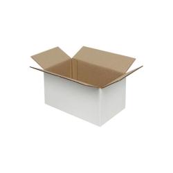 10x6x5 cm Pacco Bianco Cartone Singolo Ondulato